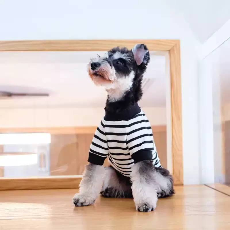Шнауцер собачий костюм весной и осенью тонкий Тедди Бомей маленький щенок с защитой от выпадения волос весной