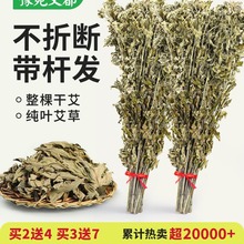 整棵干艾草叶坐月子洗澡泡脚包批发新鲜野生家用陈艾叶草散装艾蒿