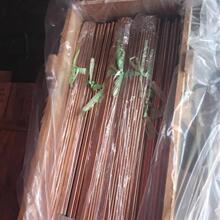���������~C52100�����������~�� C5210�����~�� C51000�a���~��