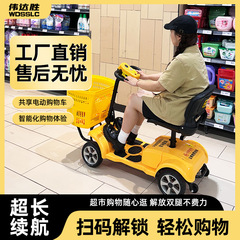 スーパー公園遊園地は四輪電動車を共有しています。