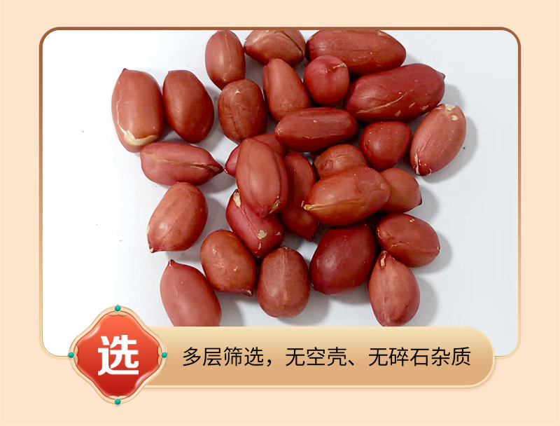 Roasted Red Skin Peanuts Hong Yi Hua Sheng 四粒红 Bulk Kernels for Grinding Snacking and Cooking 500g in use