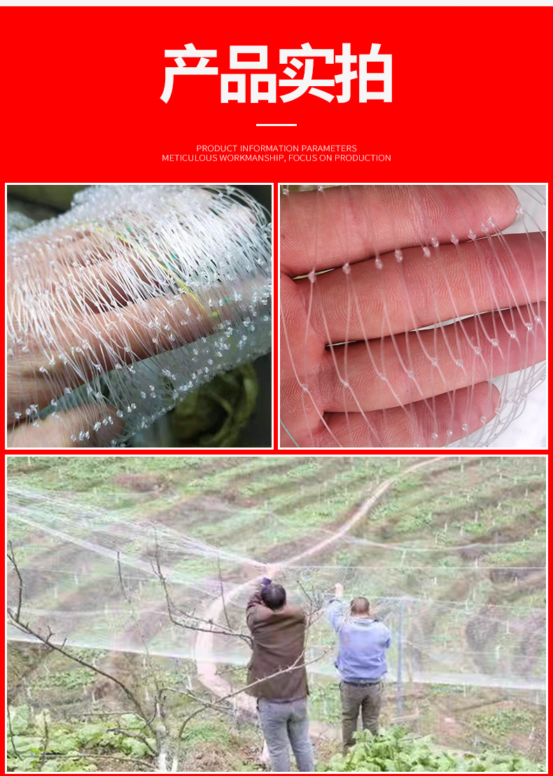 果园防鸟网_09