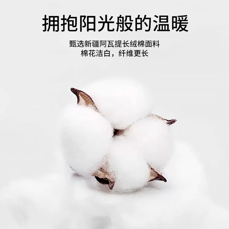 Nuevas sábanas de algodón de fibra larga de Xinjiang de alta gama, algodón de una sola pieza 100 algodón, sábana gruesa de satén doble, juego de tres piezas 2