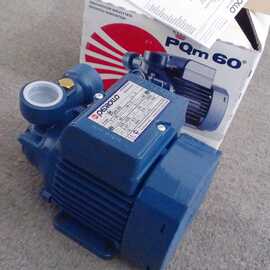 PQ60意大利Pedrollo水泵,佩德罗 水 泵 油泵 卧式离心泵