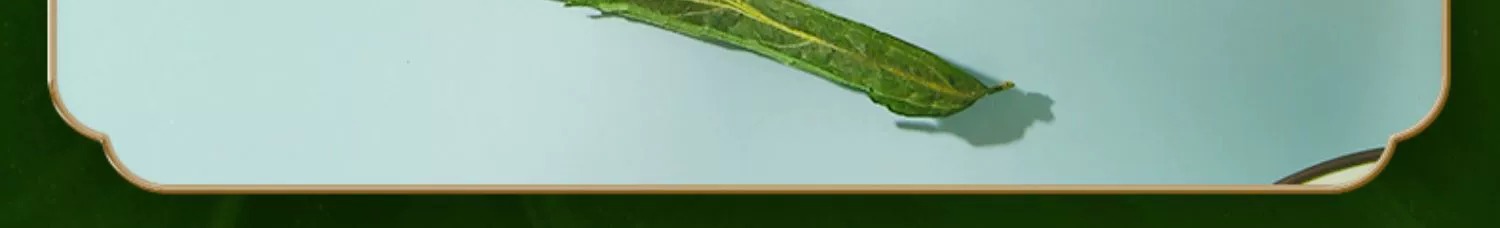 Dried Stevia Leaf Sweet Leaf Herbal Tea 10g Natural Sugar Free Cold Brew key features