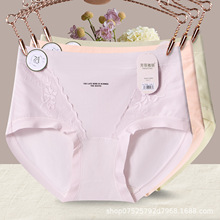 �ﶬ�������m΢�ո���ѝŮ�Ըа��ξ��ἃ�� 10A�־����d���Ƕ�ѝ