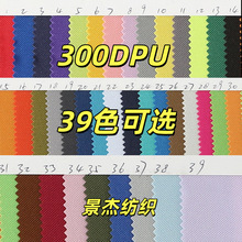300DPUţ�� �F؛���l �h�������ˮ�� ��������ò� �S��ֱ�N