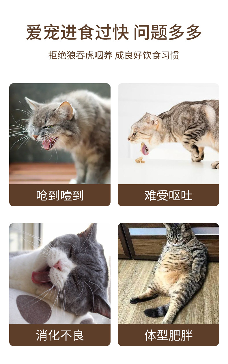 甜甜圈慢食碗_02.jpg