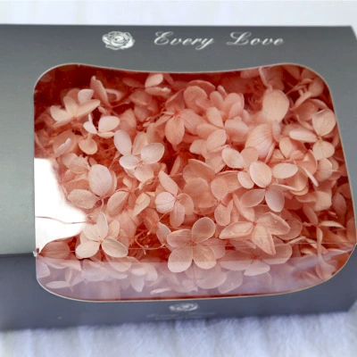 Вечной жизни глиняный горшок гимнастика 20G День Святого Валентина DIY цветочный материал Средняя лотос Строка Производитель оптом большой объем
