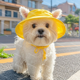 Dog Hat, Summer Exclusive Fisherman Hat, Sun Hat, Sun Protection Hat, Cute Leaky Ears, Comfortable and Breathable Pet Hat