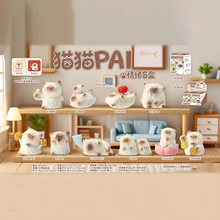 ؈؈PAI��wֲ�q��ä�Д[�����⳱�������b�ˮ��ä��С�t��ͬ��