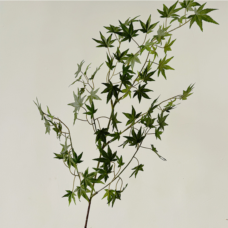 단풍잎-짙은 녹색