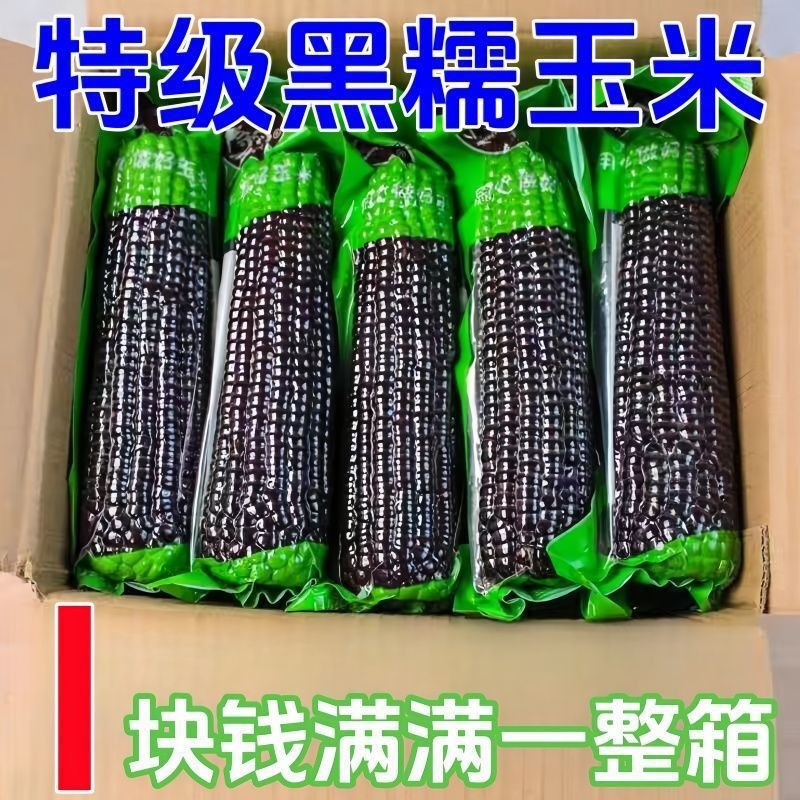 Big Sale on Black Glutinous Corn, Fresh Northeast Sweet Glutinous Corn, Vacuum-Packed Purple Sticky Corn, Ready-To-Eat Sticks, Free Shipping