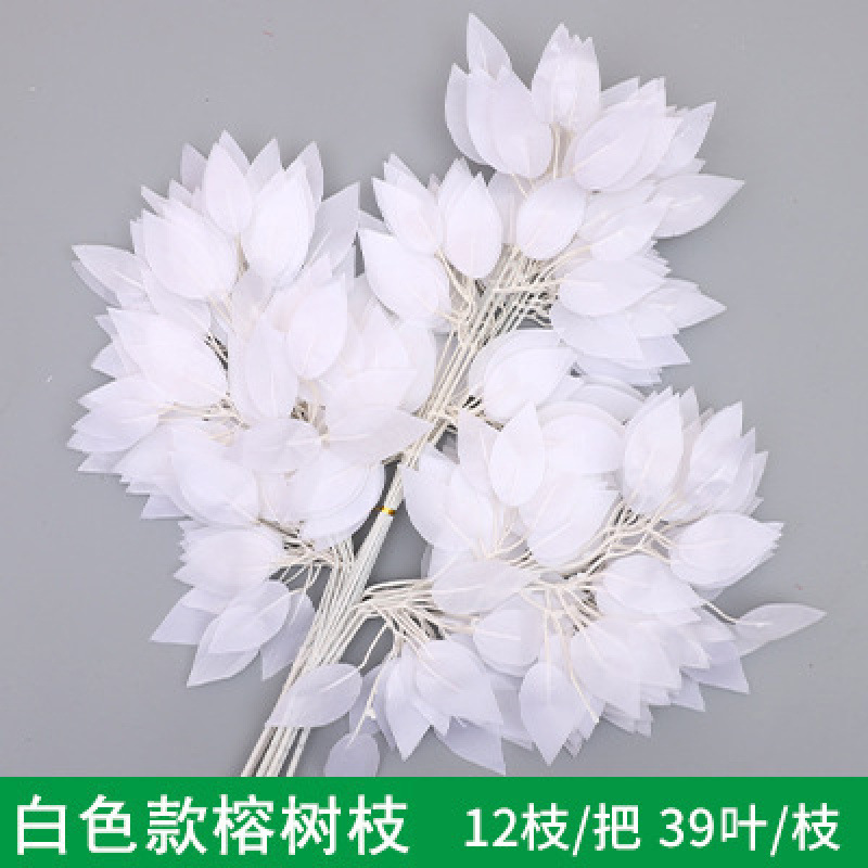 Common white fig (12 branches per dozen)