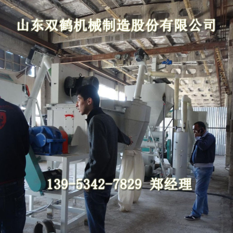 国外实地安装250型环模颗粒机组图片 养鸡牛饲料颗粒加工设备厂家