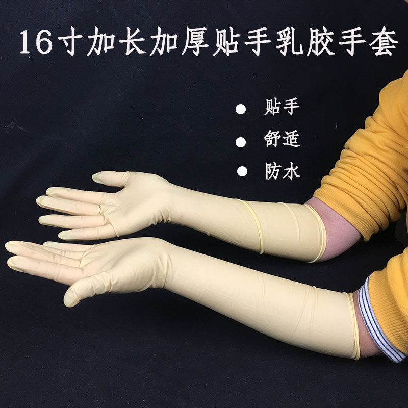 16 latex glove lengthen Long sleeve glove rubber glove Home household thickening have more cash than can be accounted for glove Amazon