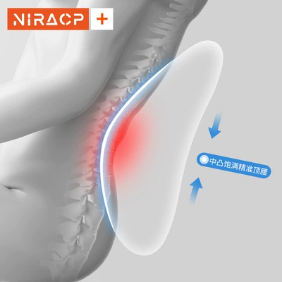 Sedentary Artifact Lumbar Support Pillow | Waist support