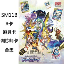 �ڴ����ֿ���SM11b R�����߿�ѵ��ʦ�� ���� ѿ��  PTCG