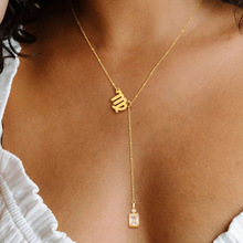 E 24473 Zodiac Diamond Clavicle Necklace ʮ������ˮ��������