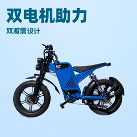 其他电动车;电动代步车;山地自行车