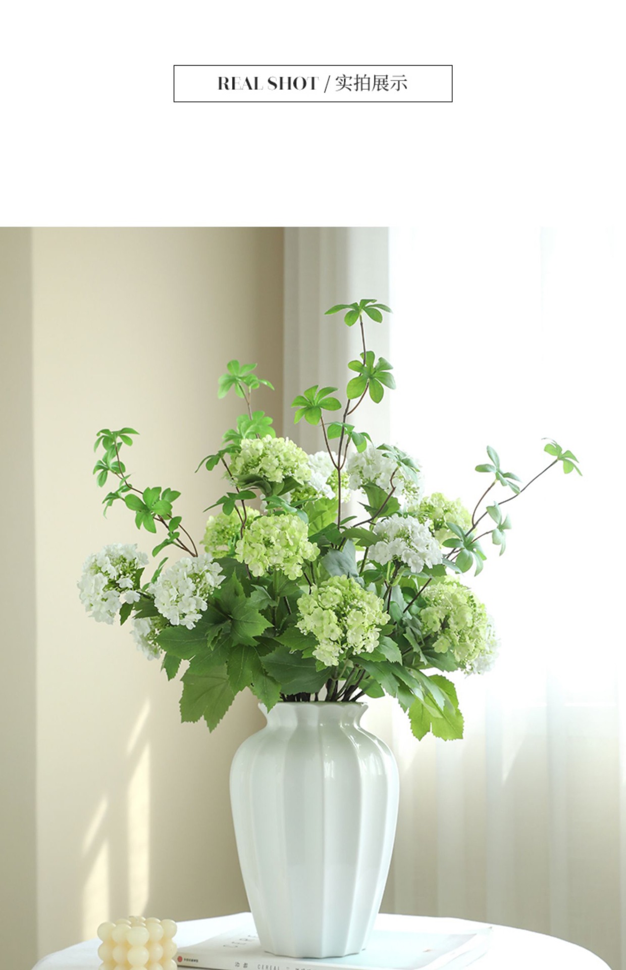 IMG_2827(20230310-105302)