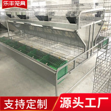 新型热镀锌自动双层兔笼 品字型免清粪兔子笼 繁殖母兔笼批发