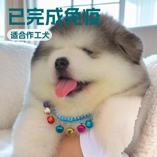 �����ܰ氢��˹��ѩ��Ȯ�o�lȮ���N�����͹���Ȯ����Ȯ������w��