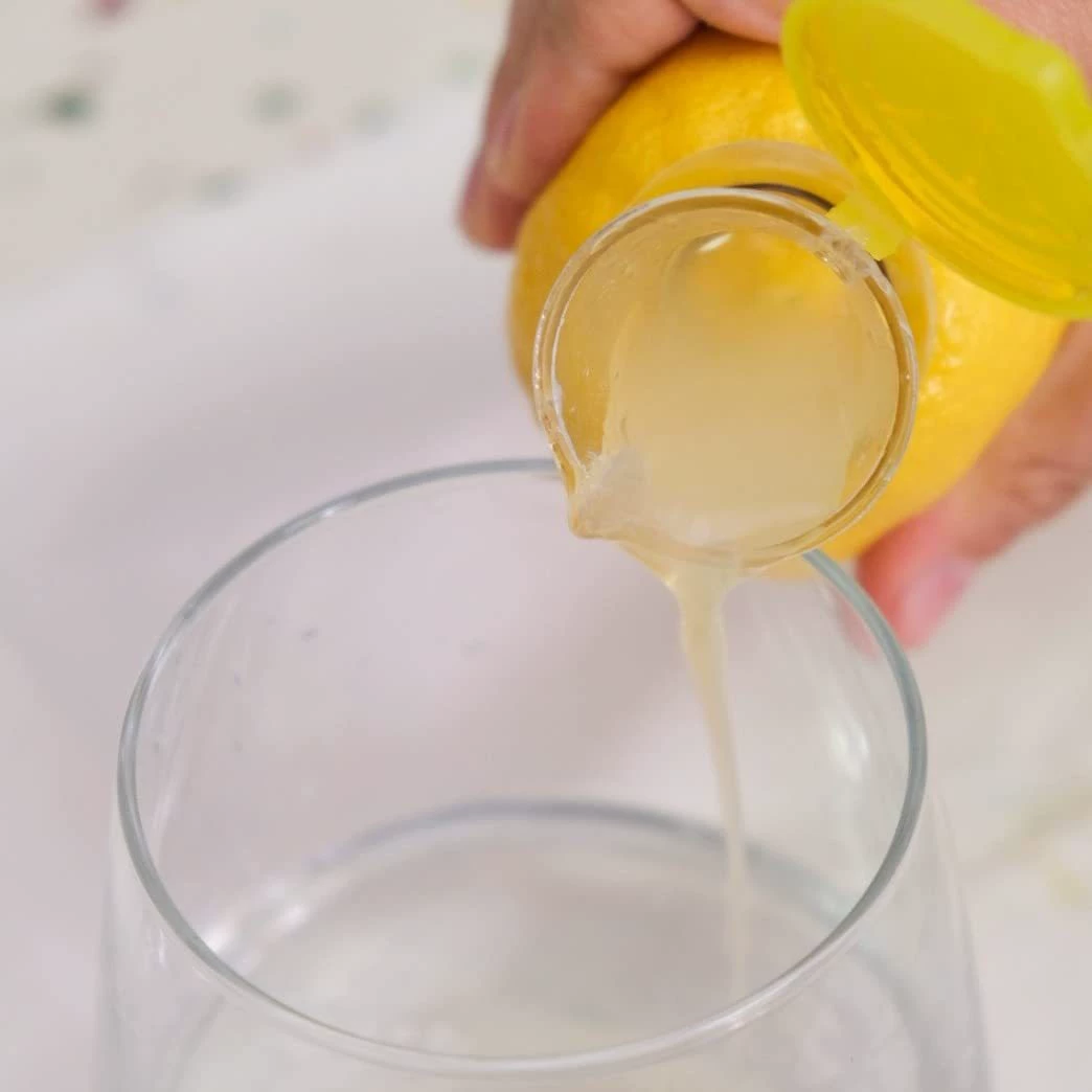 Independent site Creative new Lemon Squeezer Kitchen Lemon Juicer Manual Juicer Set