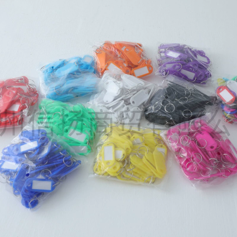 Plastic removable keychain for keys for office