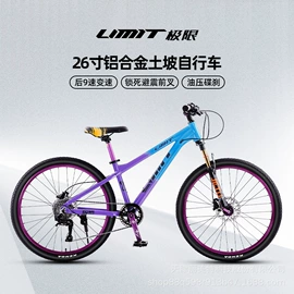 山地自行车;公路自行车;电动自行车