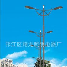 湖南客户需要的12米双臂路灯【厂家生 产质量保证】