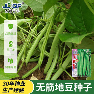 �o��ض����ļ����N�Ӹ߮a�ض��N�ӟo�ܶ��ǟo��߲˷N���ļ���