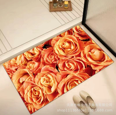 Toilet Entrance Carpet Bathroom Foot, Avtomobil döşəmə paspasları - gzz-8-50x-80cm