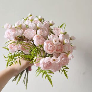 5�^���������õ����С¶ɏ�� ��������������Ҿӻ��b͏d�[��