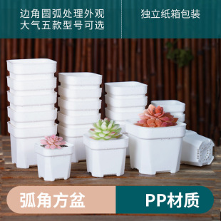 ��ͥ�Gֲ�̨���϶���ֲ�ﻨ��A�ǼӺ�ĥɰ��ɫ����������Ʒ���l