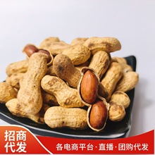 代发年货原味花生批发农家带壳柴火花生现炒现发铁锅炒货