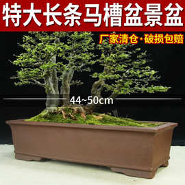 宜兴紫砂花盆长方长条盆景盆兰花树桩老桩大号马槽盆