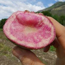 ����߲��������R����ʺ�tƤ���r�������������羳���S؛Դ���l