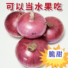 ���r��Ƥˮ�����[5��С���[��ζ�����߲˲����tƤ��A�[�^���l