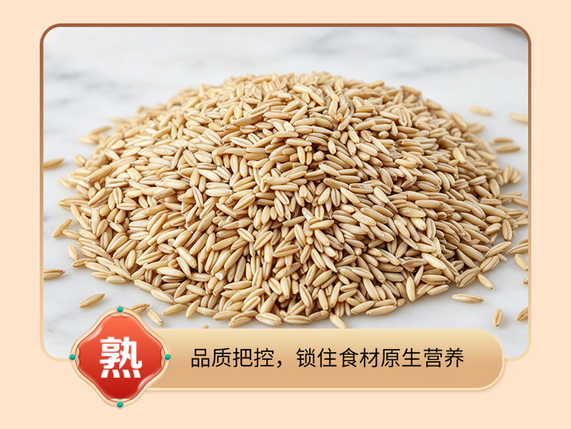 Cooked Oat Groats 500g Low Temperature Roasted Whole Grain for Porridge and Milling in use