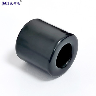 N20*12*20 Cylindrical Hollow Core Black Spray-Coated Nano-Crystal Magnetic Ring