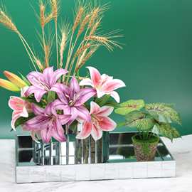 轻奢北欧创意玻璃花瓶镜面水培富贵竹鲜花百合客厅餐桌插花瓶摆件