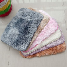 厚丝卧室茶几家用进门脚垫进门客厅纯色长毛地毯现代简约毛地毯