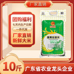 新米番禺丝苗米  煲仔饭大米5KG  籼米10斤大米新鲜大米 细长香米
