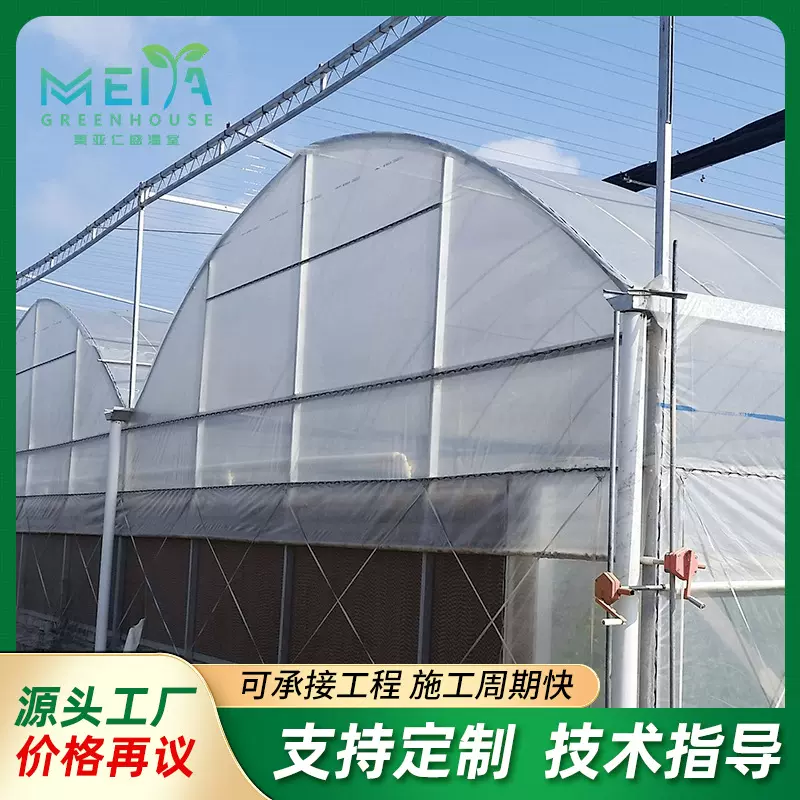 薄膜温室大棚种苗培育养殖种植蔬菜大棚瓜果温室薄膜连栋温室大棚