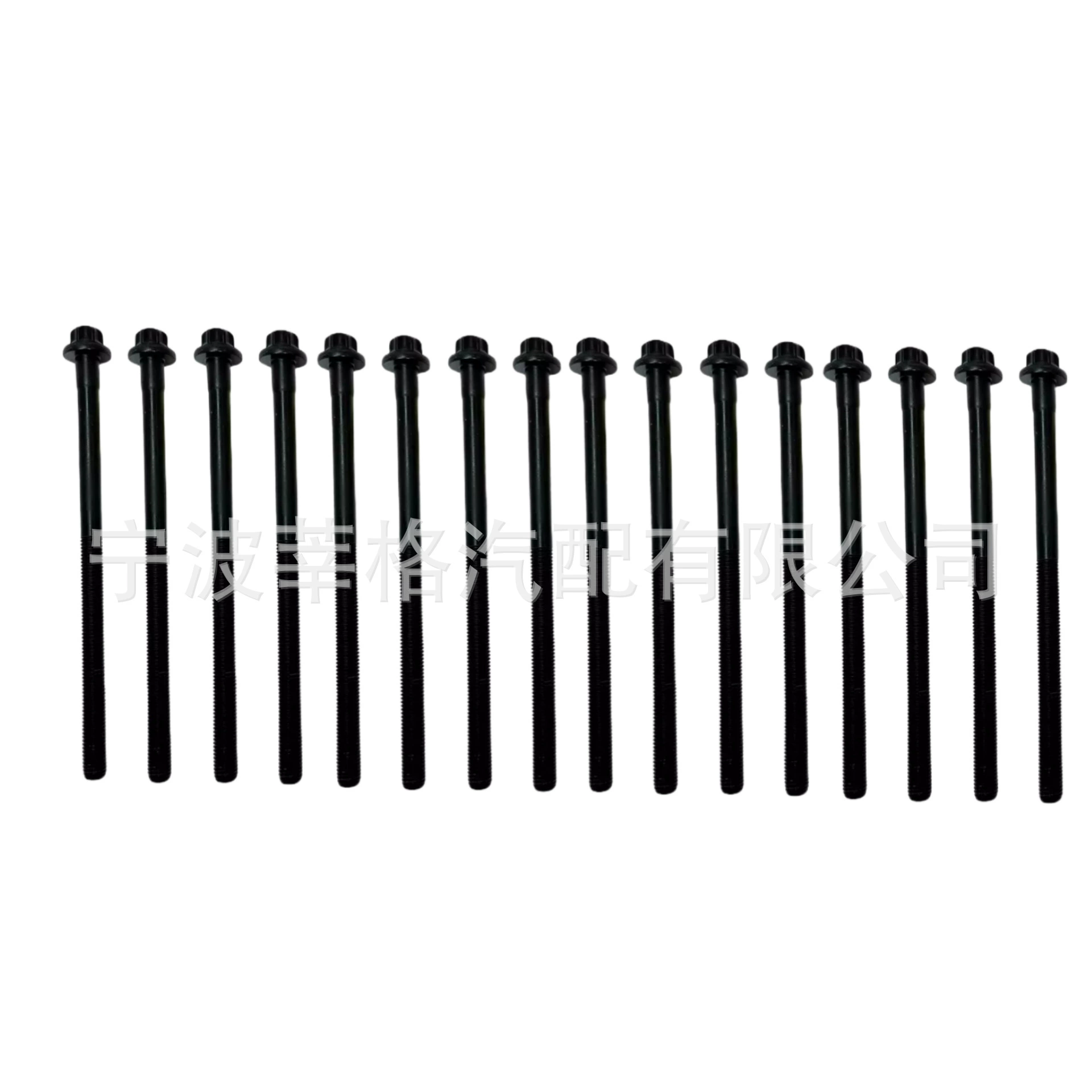 Комплект болтов головки цилиндров для Mercedes-Benz 3.0L 07-22 GS33718 81041300