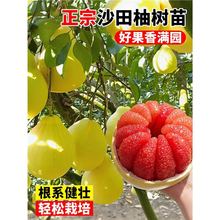 ɳ�����Ә���޽Ӵ��箔��Y������t�����֝�����ּ���ͥԺ����
