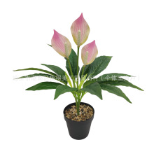 �羳������Ƽt������һ���L혷���Gֲ�ٻ��������ԼپGֲ���l