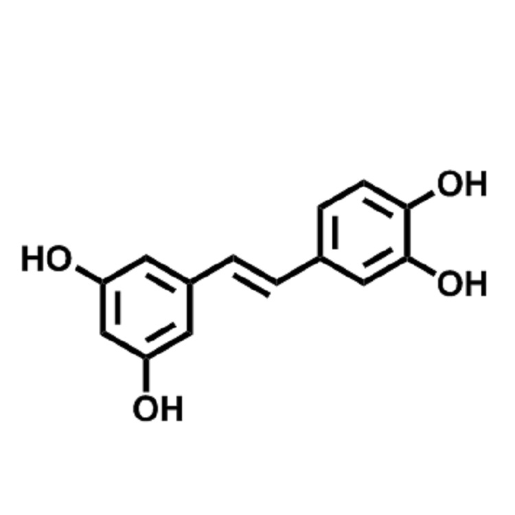 白皮杉醇  CAS:10083-24-6  98%  现货供应  价格详询