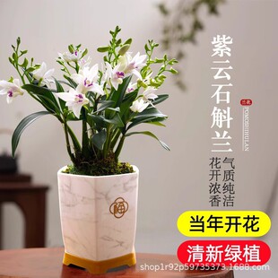 ���ʯ���m�����ԬF�������҃��̨���ϻ��ܾGֲ�m����ˮ��ֲ��